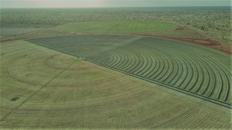 Aerial view of pivots